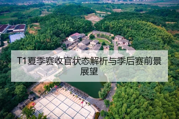 T1夏季赛收官状态解析与季后赛前景展望