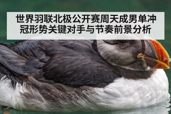 世界羽联北极公开赛周天成男单冲冠形势关键对手与节奏前景分析