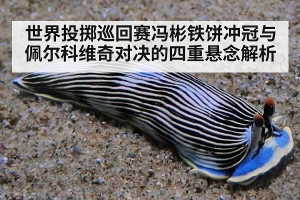 世界投掷巡回赛冯彬铁饼冲冠与佩尔科维奇对决的四重悬念解析
